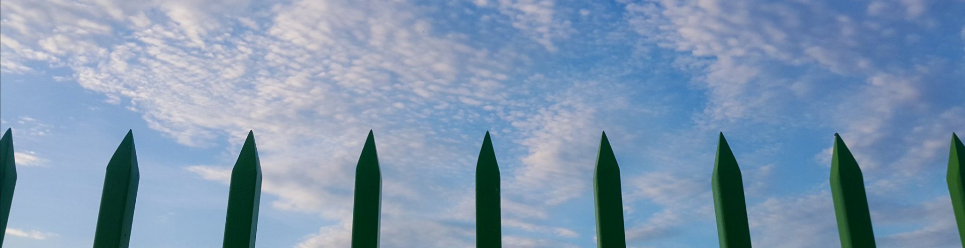 Low Angle View Plants Against Sky