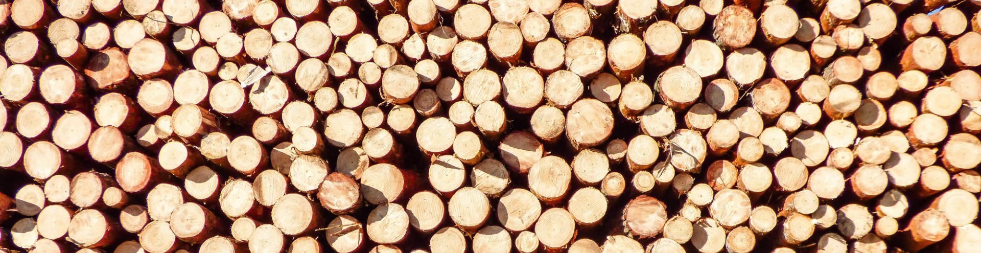 Uk Timber Supplier Ryder Services