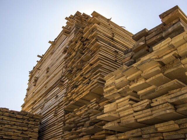 Huge timber stock at Ryder Services