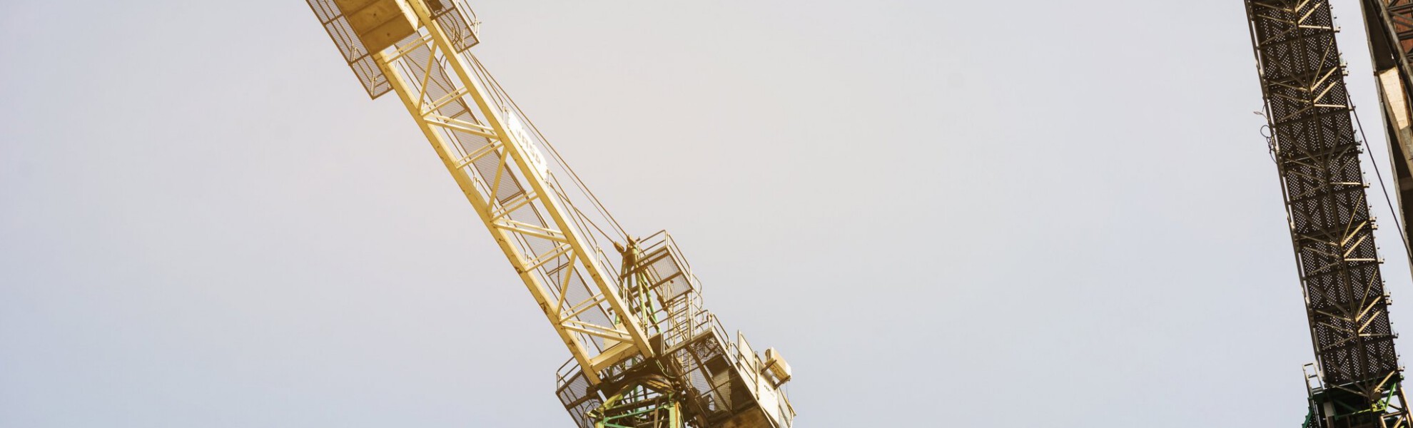 Crane