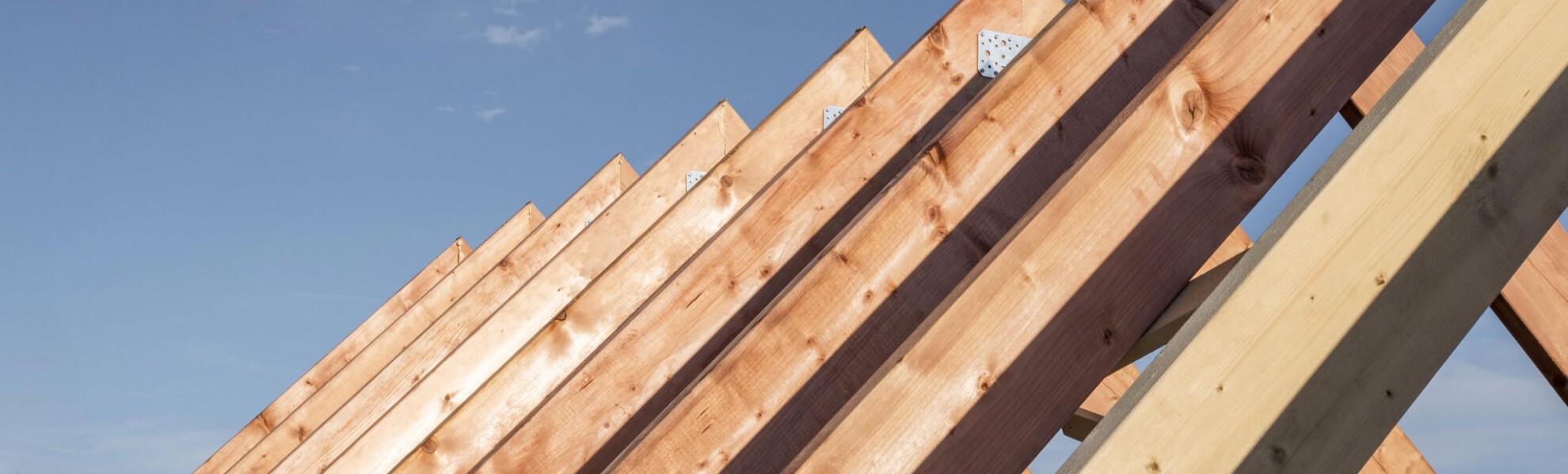 Timber Roof