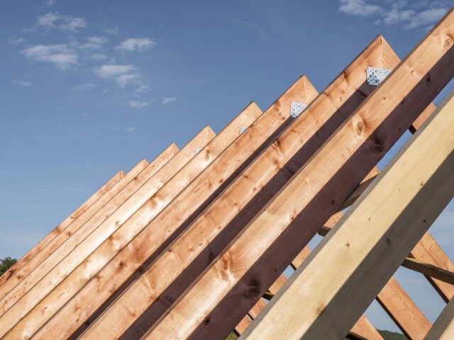 Timber Roof