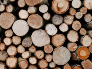 FSC Logs