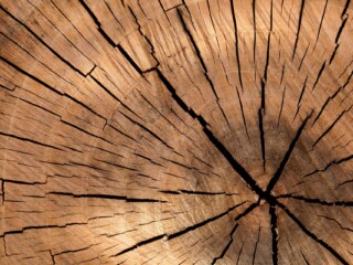 PEFC Logs