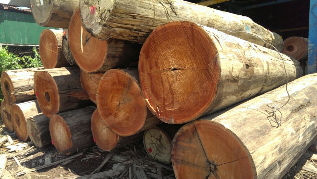Balau Logs