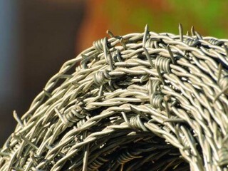 Barbed Wire Fencing