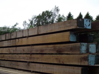 Baulk Timber