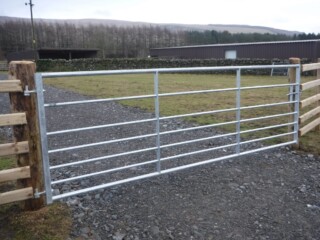 Metal Gate