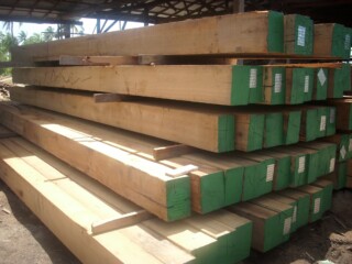 Greenheart Timbers