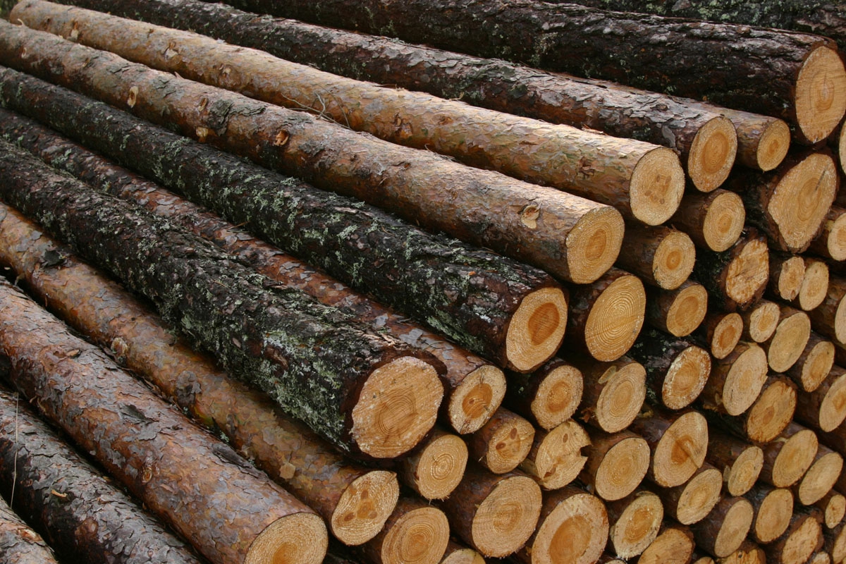 Greenheart logs