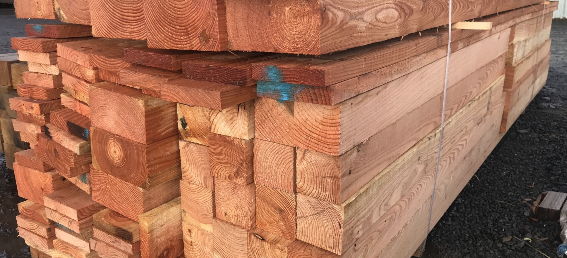 Larch Timber Banner
