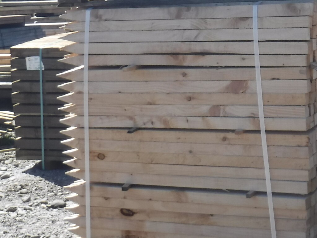 Survey Pegs