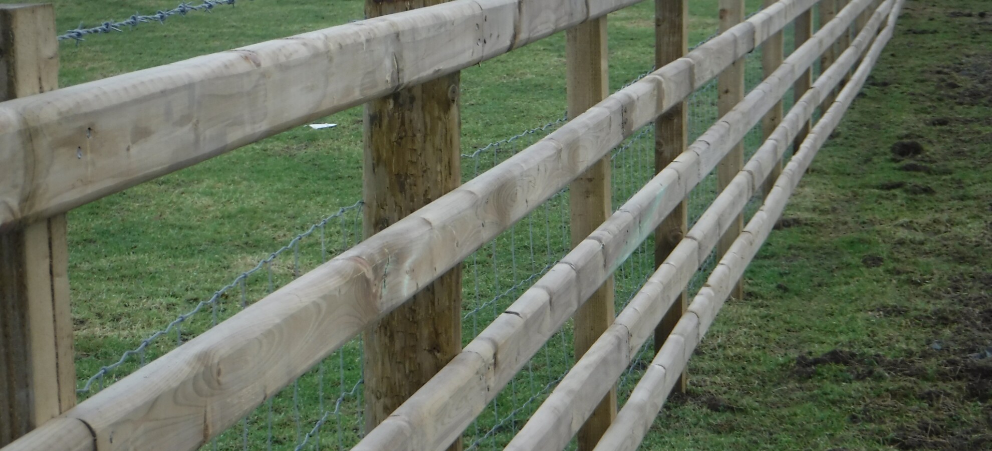 Post & rail Fence