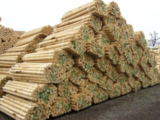 Wooden Fence Posts