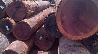 purpleheart logs