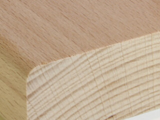 Beech