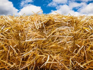 Staw Bales
