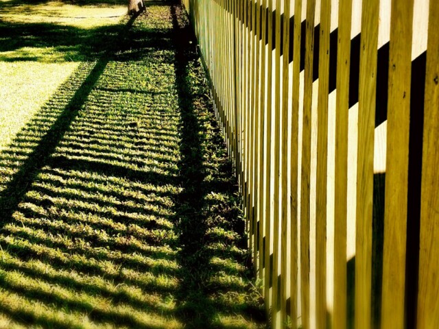 Garden Fence in Sunlight