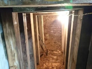 Tunneling Timber