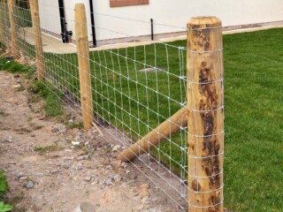 Wire Fencing
